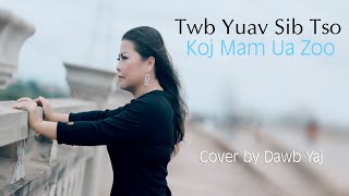 Twb Yuav Sib Tso Koj Mam Ua Zoo Cover by Dawb Yaj (Original: Xab Thoj)