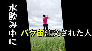 水飲んでる最中にバク宙転注文された人#Shorts