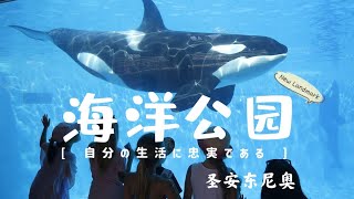 德州vlog | Sea world 圣安东尼奥海洋公园开箱