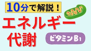 【10分で解説、15分間は国試問題】エネルギー代謝について解説