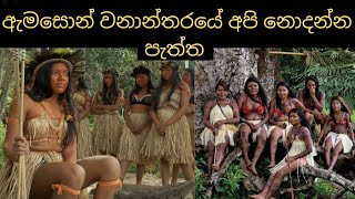 ඇමසොන් වනාන්තරයේ අපි නොදන්න පැත්ත | Unknown Facts About Amazon Rainforest