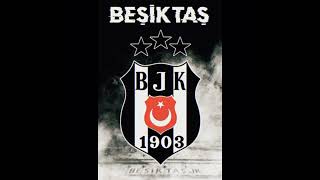 Beşiktaş kara kartal