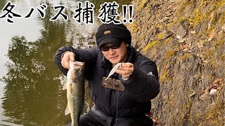 【バス釣り】【津風呂湖】プリスポーンのブラックバスをのんびり狙う‼︎