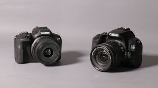 Canon R100 vs 250D which the best ?