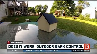 Bark Box…Does It Work?