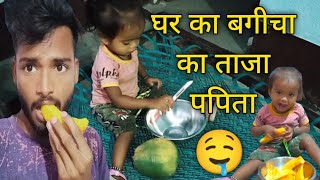 घर बाड़ी का ताजा पपिता ll  Ghar Badhi Ka New Vlogs Video ll Badhi Ka vlogs video 😍  #viral