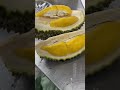 frozen musang king 冷冻猫山王 冻榴莲 冷凍ドリアン frozenfood