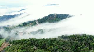 【空拍】2018 10 12苗栗大湖-薑麻園--雲洞山莊 雲海 雲瀑