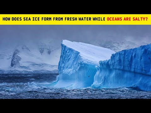 Is the Arctic fresh or saltwater?