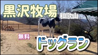 【黒沢牧場ドッグラン】パピヨン犬ルークと行く無料ドッグラン！