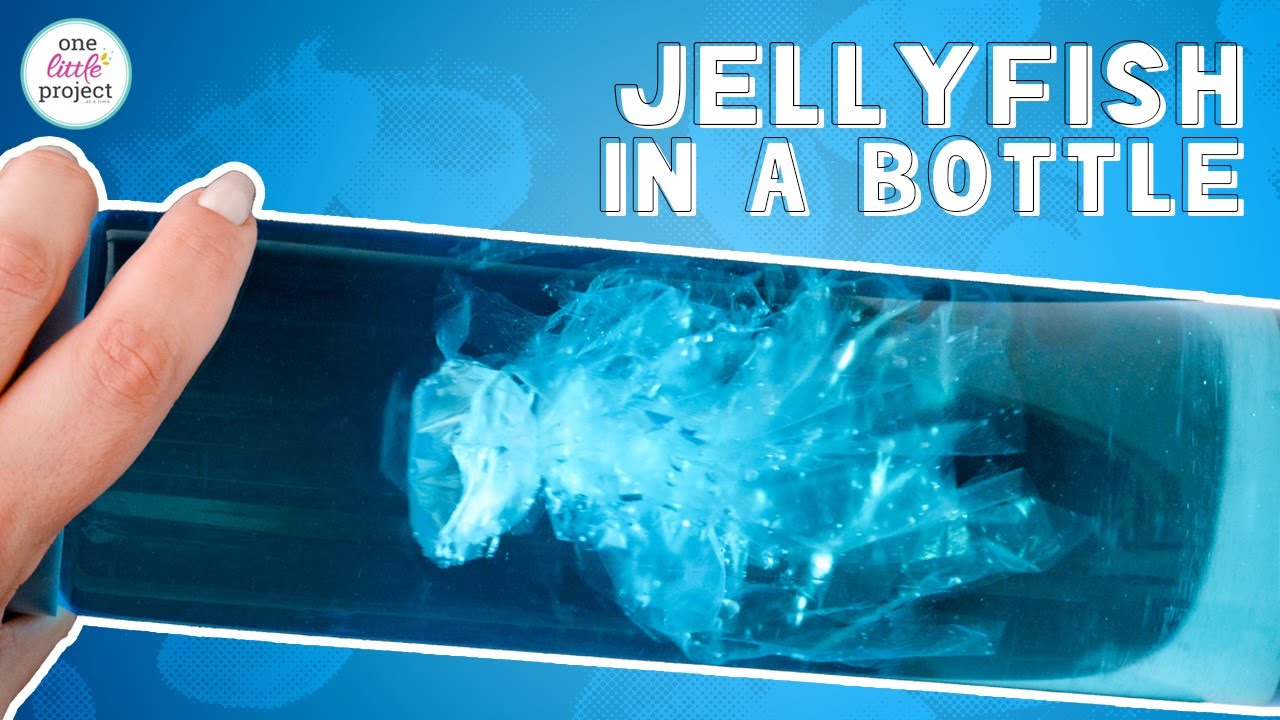 Science Experiment Jellyfish In A Bottle At Edward Jack Blog