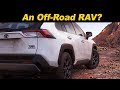 2020 Toyota RAV4 TRD First Look