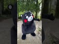 ひっひっひき肉です🍖　 ひき肉です 一発撮り kumamon 熊本