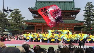 [4K]京炎 そでふれ！華羅紅【さくよさ2019】神宮道190406 \