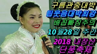 💗버드리💗 10월28일 주간 2018 내장산 단풍축제 초청 공연