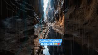 ලංකාවෙත් මෙහෙම than තියනවානම්