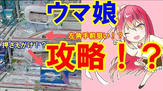 【万代書店高崎店】フィギュアの橋渡しで斜めはチャンス！？ウマ娘のトウカイテイオーとメジロマックイーンに挑戦してみた！！