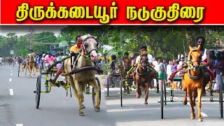 1திருக்கடையூர் 16000 ஆயிரம் நடுக்குதிரை பந்தயம்  16,01,2025