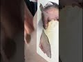 #shorts filleting John Dory fish for #sashimi