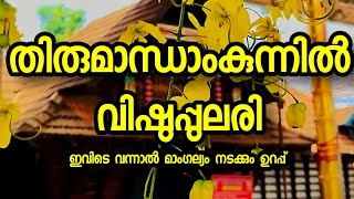 വിഷുദിനത്തിൽ തിരുമാന്ധാംകുന്ന്|waysights|malayalam|Thirumandhamkunnu temple #berlin #viral #trending