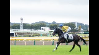 【競馬レース中継】『クロッカスS・白富士S』