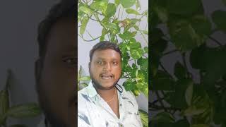 Pulivendula Raider please like share subscribe our channel support me friends