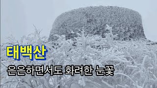 250125 / 태백산 / 은은하면서도 화려한 눈꽃 / 유일사주차장-태백사-유일사쉼터-장군봉-천제단-단종비각-망경사-반재-단군성전-당골광장-당골탐센