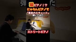 ストリートピアノで革命のエチュード弾いてみた！②【にゃらんピアノ】 #ストピ