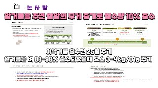 바로미2의 이삭거름과 알거름 주는 시기