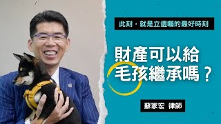 財產可以給毛孩繼承嗎？《此刻，就是立遺囑的最好時刻！》 #蘇家宏律師