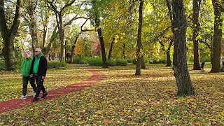 Leaves In The Wind - Ernesto Cortazar. 🍂 Őszi levelek a szélben.