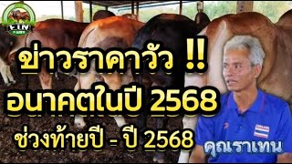 ข่าวราคาวัว !! ช่วงท้ายปีถึงปีใหม่ในปี 2568\