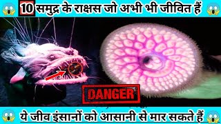 Top 10 समुद्र के राक्षस जो अभी भी जीवित हैं|😱|Top 10 sea monsters 😲 | In Hindi..