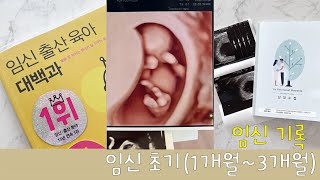 임신기록ㅣ임신초기(1개월-3개월)ㅣ임신초기에 챙겨야 할것ㅣ예비맘ㅣ#임산부등록 #국민행복카드 #태아보험 #임산부화장품