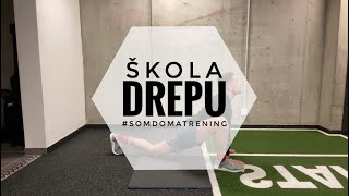 #SDTSPECIAL - ŠKOLA DREPU 2