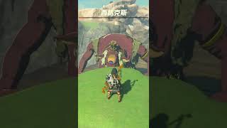 #zelda 薩爾達傳說王國之淚時間倒轉的妙用