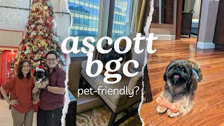 Paw-some Adventures at Ascott BGC Hotel with Our Shih Tzu!