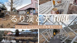 犬と広々お散歩にカフェテラスOK(*'▽')るり渓は温泉もイルミネーションもある観光地♪楽しんで行ってみよう！るり系温泉for REST RESORT☆ in 京都