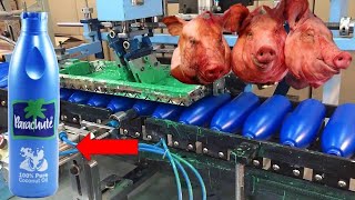 Oil Making Factory Machine || Amazing Facts | The World Adentures Telugu