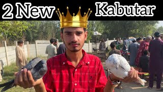 ||2 New kabutar liya ❤️or duck baby￼ liya 🐣||