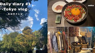 Daily diary | Tokyo(東京)vlog #1 | 秋の吉祥寺さんぽ、井の頭自然文化園、吉祥寺グルメ、素敵なvintage shop、焼肉屋ちゃんぷ、ユッケ、東京街歩き、のんびり休日