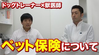 【ドッグトレーナー×獣医師のぶっちゃけトーク】ペット保険について。動物病院の先生に普段聞きにくいことを質問してきました！