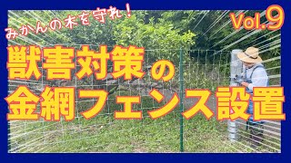 獣害対策！鹿や猪からみかんの木を守るため金網フェンスを設置した！【ヨクスル松田町プロジェクト Vol.9】