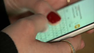 Mobile bank apps convenient for users, but can be vulnerable to hackers