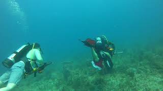 Spear Diving - Scuba Diving 60 feet GoPro