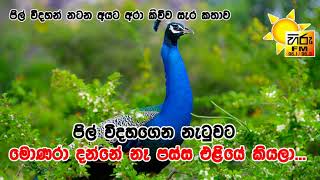 පස්ස එළියේ දාගත්ත අයට අරා කිව්ව සැර කතාව