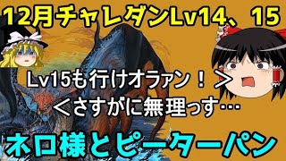 12月チャレダンLv14＆15を攻略！【パズドラ】