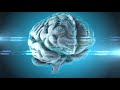 brain and neurons Free HD Stock Footage 26