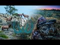 Montana Archery Elk Hunt with Kristy Titus