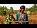 india s water revolution 4 permaculture for wastelands at aranya farm by andrew millison